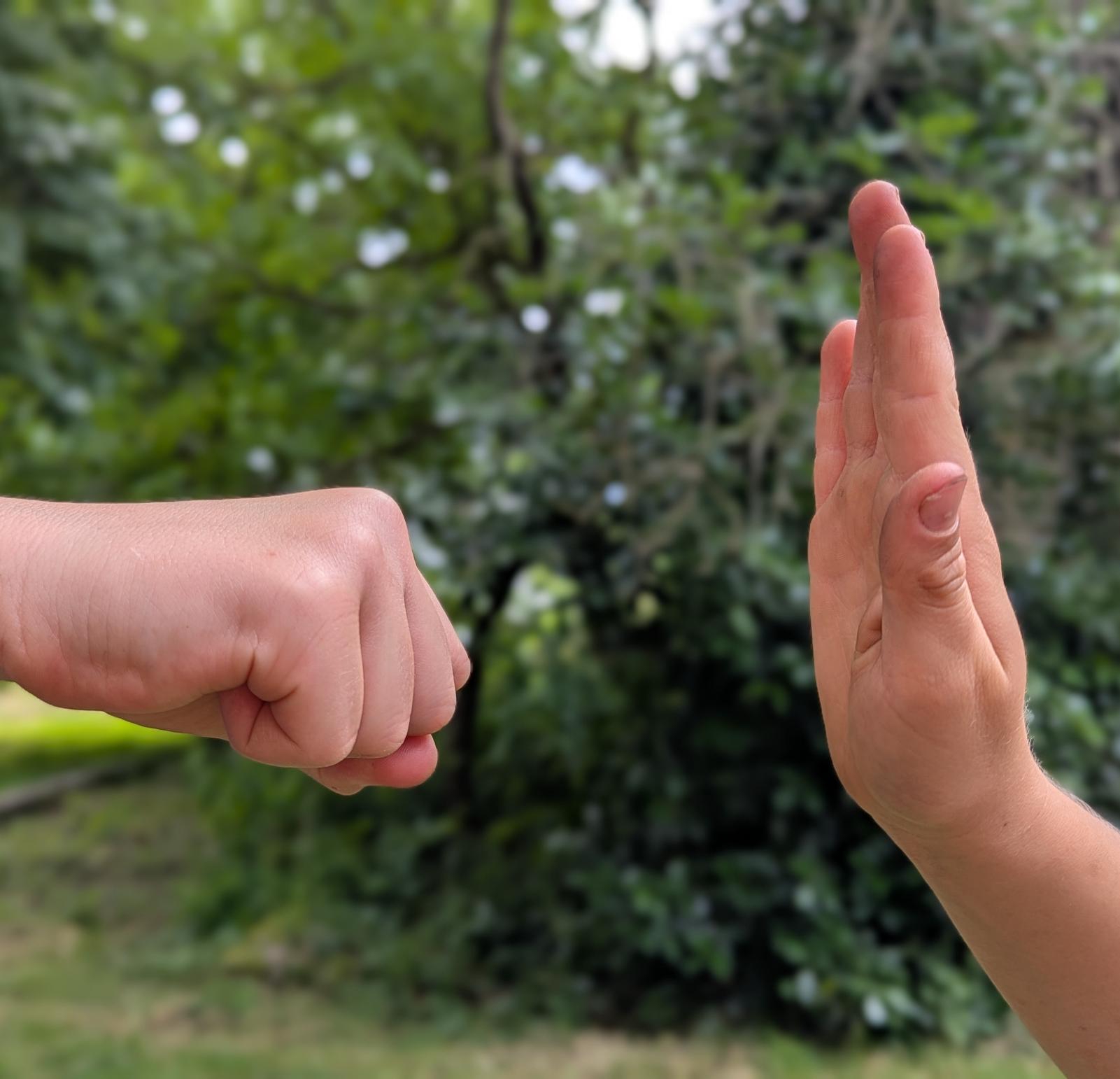 Eine Faust und eine geöffnete Hand begegnen sich vor grünem Hintergrund.