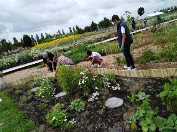 67-ingolstadt_interkultureller_garten_2-min.jpg