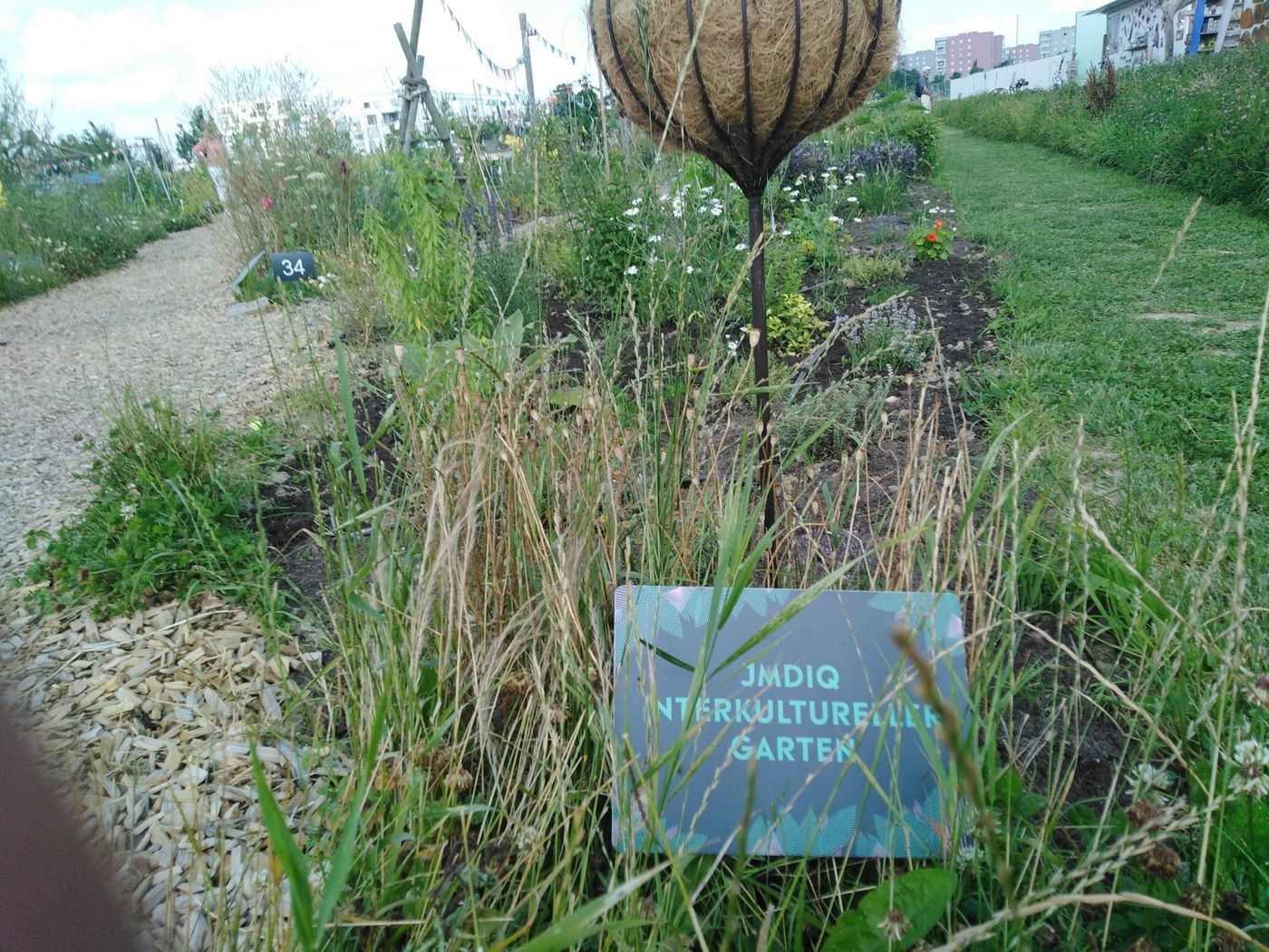 67-ingolstadt_interkultureller_garten_1-min.jpg